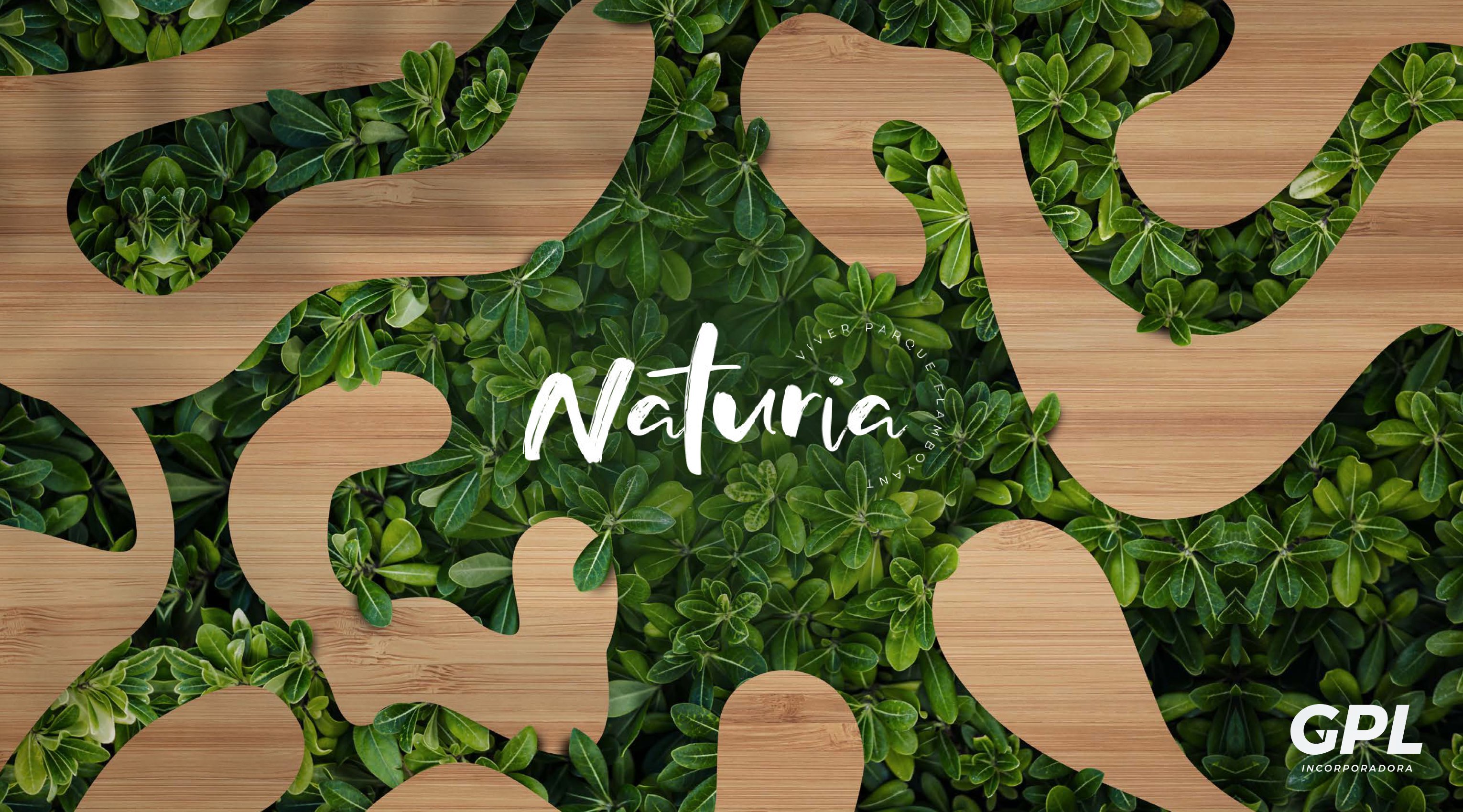 NATURIA FLAMBOYANT