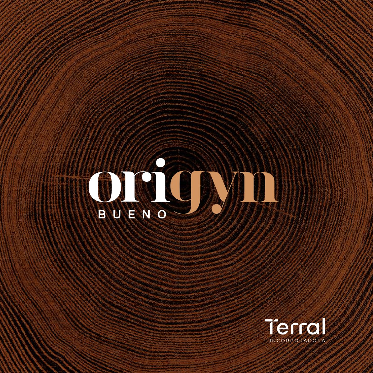 Origyn Bueno